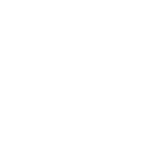 Cobranding Logo